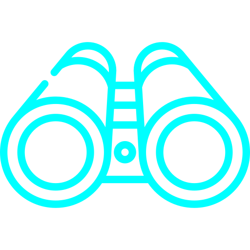 Icon 1